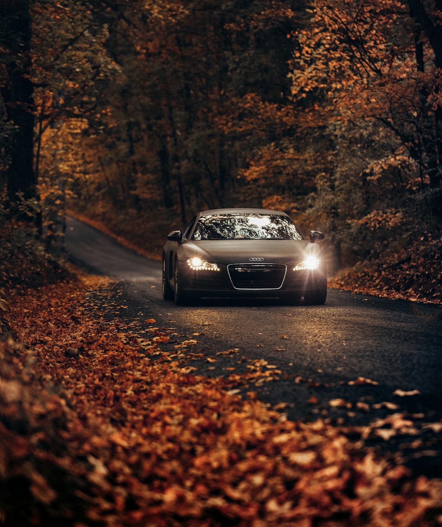 Header banner_images_0_17645747041789958241.jpg Over ons | KHAN De Molen